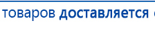 СКЭНАР-1-НТ (исполнение 02.1) Скэнар Про Плюс купить в Кунгуре, Аппараты Скэнар купить в Кунгуре, Медицинская техника - denasosteo.ru